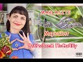 MARCASITE💎УРА‼️МАРКАЗИТ ДОЛГОЖДАННЫЙ‼️Наконец то у нас‼️ОтКРыВаеМ ПоСыЛКу🎁Капельное Серебро🎁💎‼️