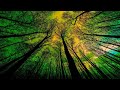 Falling Leaves of Autumn | Meditation Music | Relaxing Music | Soothing Music | Sleep Music