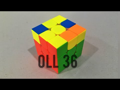 Oll 36