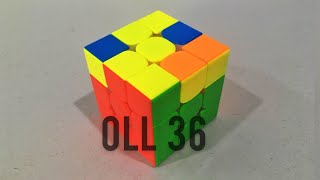 Oll 36