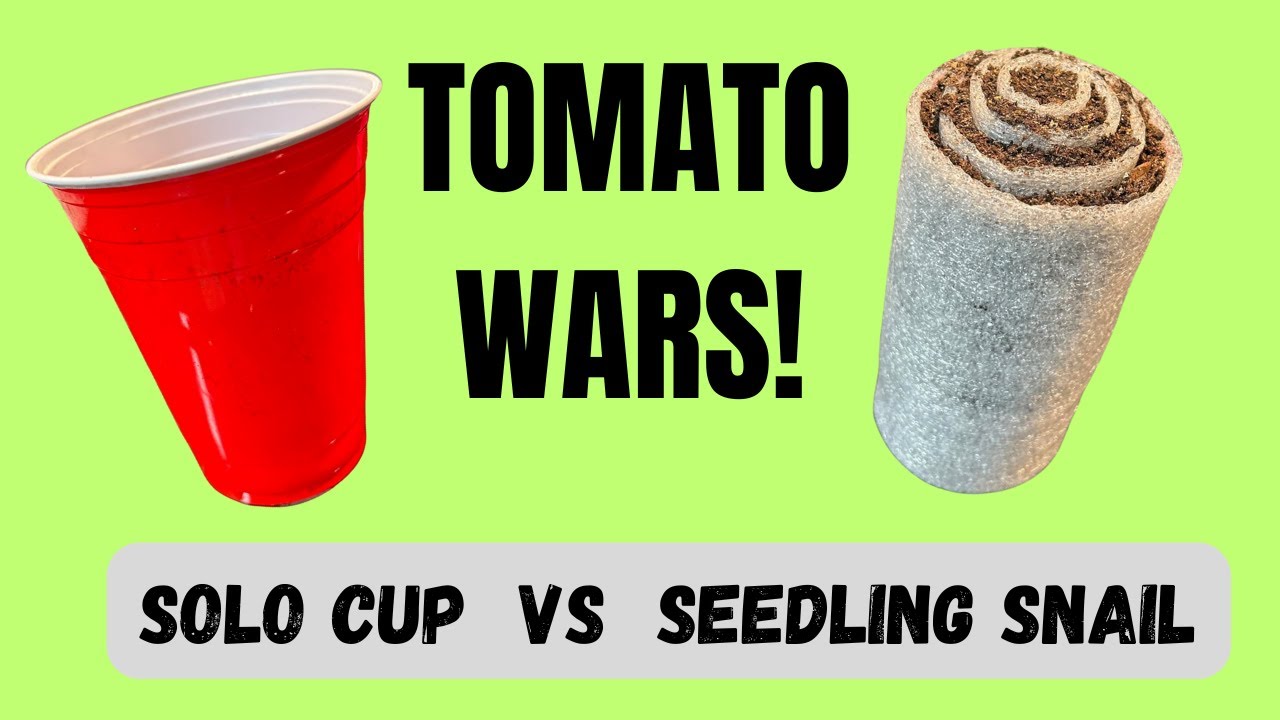 Seedling Snail vs Solo Cup - Cold Climate Gardening