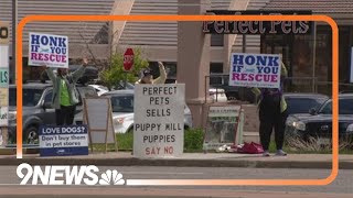 Protesters outside Colorado pet store call for end to puppy mills