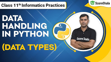 Class 11 Informatics Practices Chapter 4 - Data Handling | Data Types of Python
