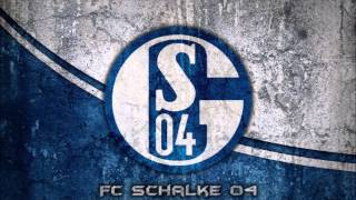 Schalke Vol. 22