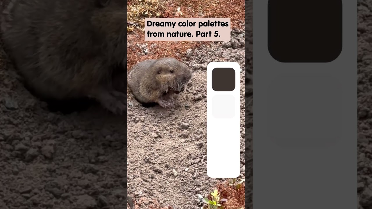 Subscribe for soothing color palettes inspired by nature 