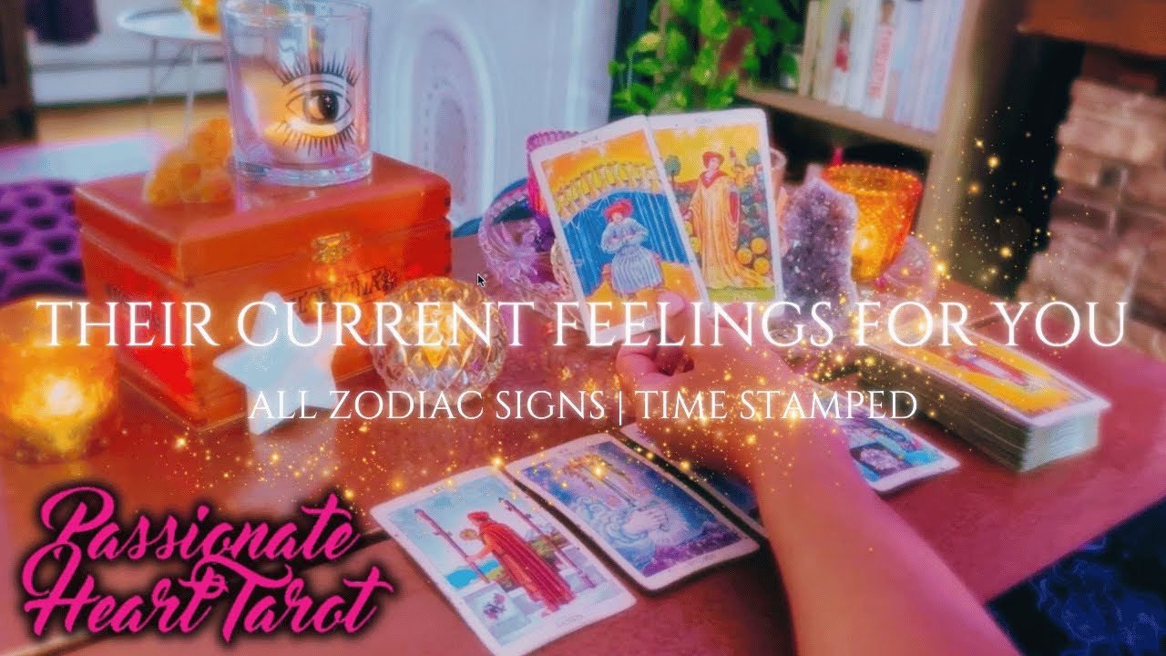 ✨ Their Current Feelings For For You! 💕🌹 All Zodiac Signs - Time Stamped ✨