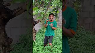Mau ketawa takut dosa video lucu bikin ngakak hiburan warga+62 funny videos #funny #shorts #viral