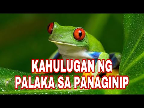 KAHULUGAN NG PALAKA SA PANAGINIP  GIO AND GWEN LUCK AND MONEY CHANNEL