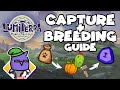 LUMITERRA | CAPTURING &amp; BREEDING LIVESTOCK ESSENCE GUIDE