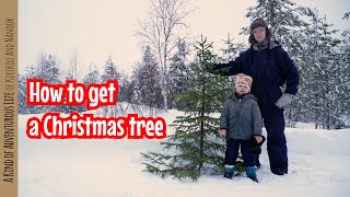 Haetaan Joulukuusi Metsästä Kirikoun Ja Nanookin Kanssa