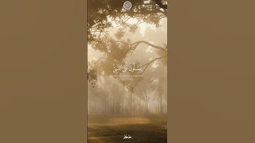 سورة الأحزاب الأية {55-56} بصوت القارئ الشيخ عبد الرحمن العوسي اللهم صلى على محمد ❤️ #القرآن_الكريم