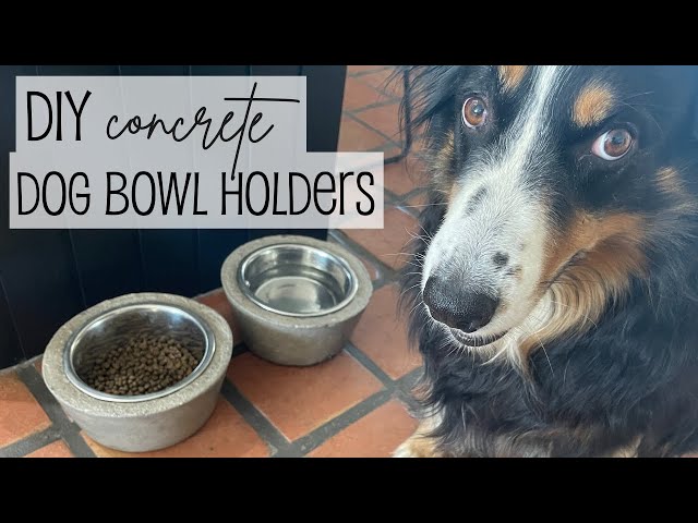 Dog Bowls + Stone Base