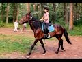 Тренировка на лошади 11-летней Ани в КК "Восход"