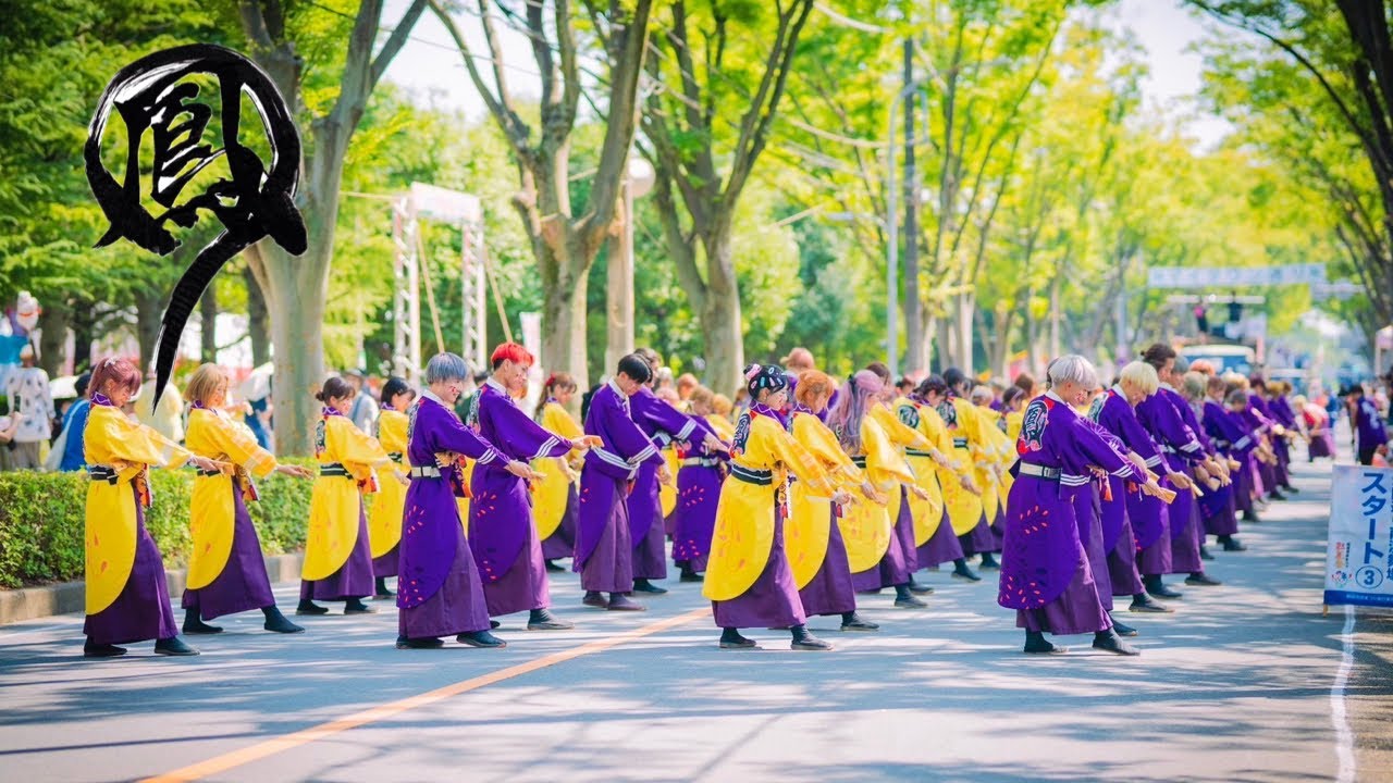【4K公式】 鳳遙恋2024『咲散花』 彩夏祭3日目／公園通り南