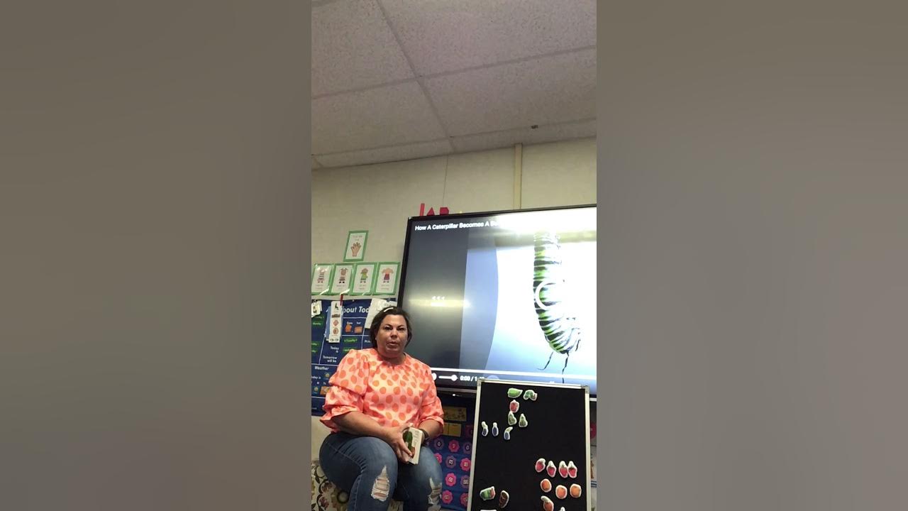 video lesson plan LAUSD YouTube