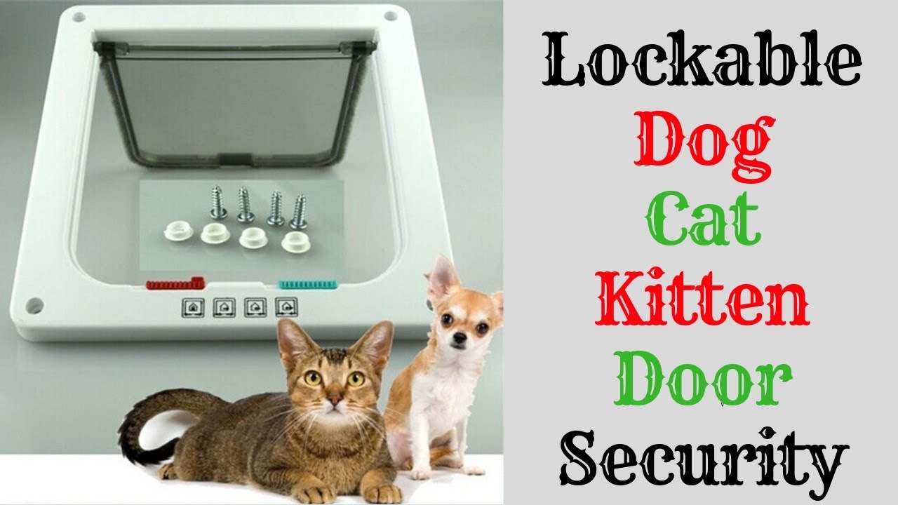 products of glycolysis Lockable Dog Cat Kitten Door Security 2019