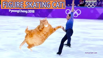 Figure Skating Cat