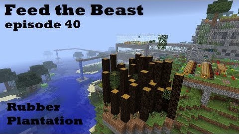 Feed the Beast Ep40: Rubber Tree Farm