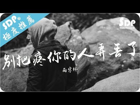 雨宗林 - 別把疼你的人弄丟了「高音質 x 動態歌詞 Lyrics」♪ SDPMusic ♪