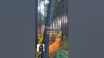 كروما قران كريم شاشة سوداء كروما ايات قرانية يوسف عثمان _كرومات_قرآن بل هو قرآن مجيد شاشة سوداء