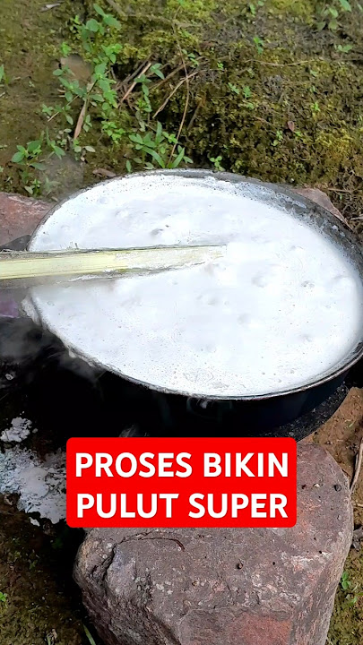 Proses Bikin Pulut Untuk Mikat Burung Dengan Getah Pule Getah Karet Lem Tikus