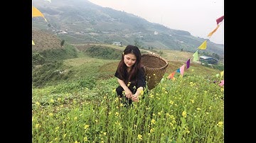 Khu du lịch Mù là, Cổ Linh, Pác Nặm