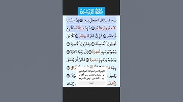 سورة القيامة الاية 13 - 19 فارس عباد