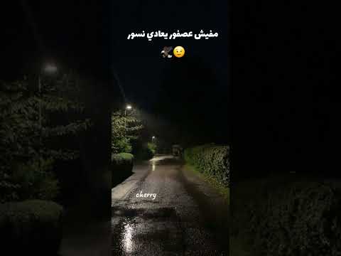 مفيش عصفور يعادي نسور محمد البصيلي