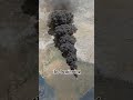 What If Nuclear War Happened Today? #shorts