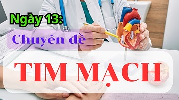 Ngày 13 - Chuyên đề TIM MẠCH.