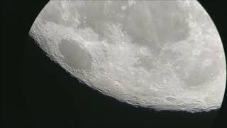 Ptaki Na Księżycu Synta 8