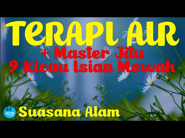 Terapi Air + Master Jitu | Agar burung tidak stres dan termaster 9 materi isian mewah. class=