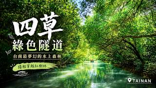 「不要夏天來！」台南四草綠色隧道踩雷實測!｜安平老街失控採購