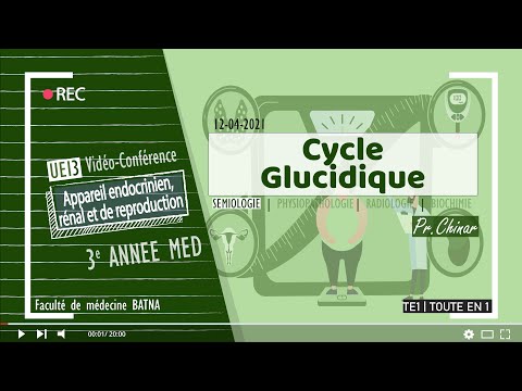 Vidéo: Comparaison Des Paramètres Biochimiques Entre Les Utilisateurs D'inhibiteurs De DPP4 Et Les Autres Utilisateurs De Drogues Hypoglycémiques Orales: Une étude Transversale D&apo