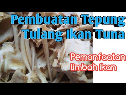 pembuatan-tepung-tulang-ikan-tuna-(pemanfaatan-limbah-tulang-ikan)