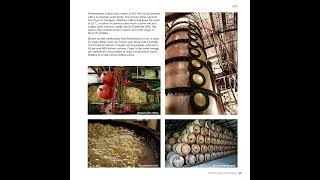 Modern Caribbean Rum Book Tour