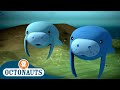 Octonauts The Manatees Cartoons For Kids Underwater Sea Education 