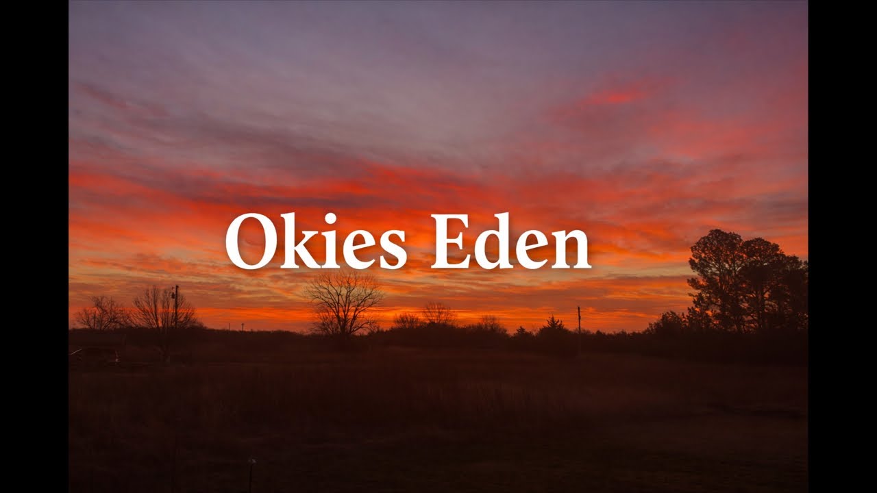 So Much Changed in the Garden Overnight 🌱 | Monday Morning Walkthrough