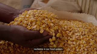 P4G's Pioneering Green Partnerships in SDG 2: Food and Agriculture