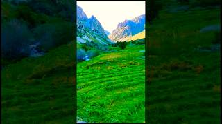 Amazing Kaçkar mountains plateau travel views #mountainswiev #amazing #plateau