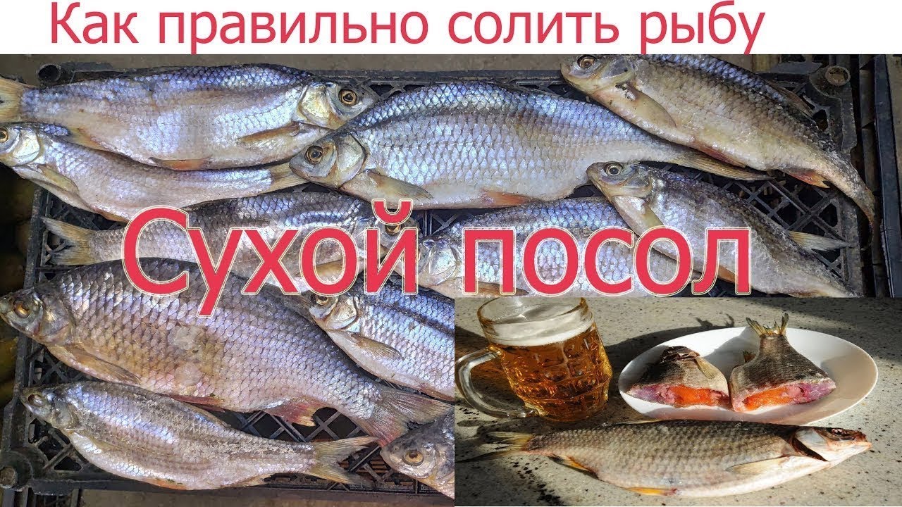 Русская кухня [Николай Иванович Ковалев] (fb2) читать онлайн