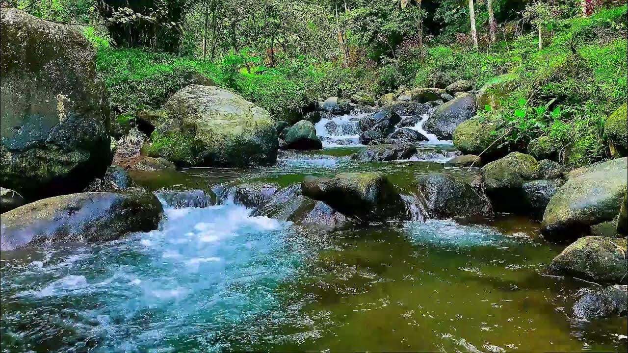 Peaceful River Sounds in Forest Relaxing White Noise for Meditation Sleep and Emotional Calm. Peaceful River Sounds in Forest Relaxing White Noise for Meditation Sleep and Emotional Calm.