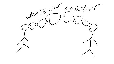 Lowest Common Ancestor (LCA) Algorithm(Binary lifting , euler tour)