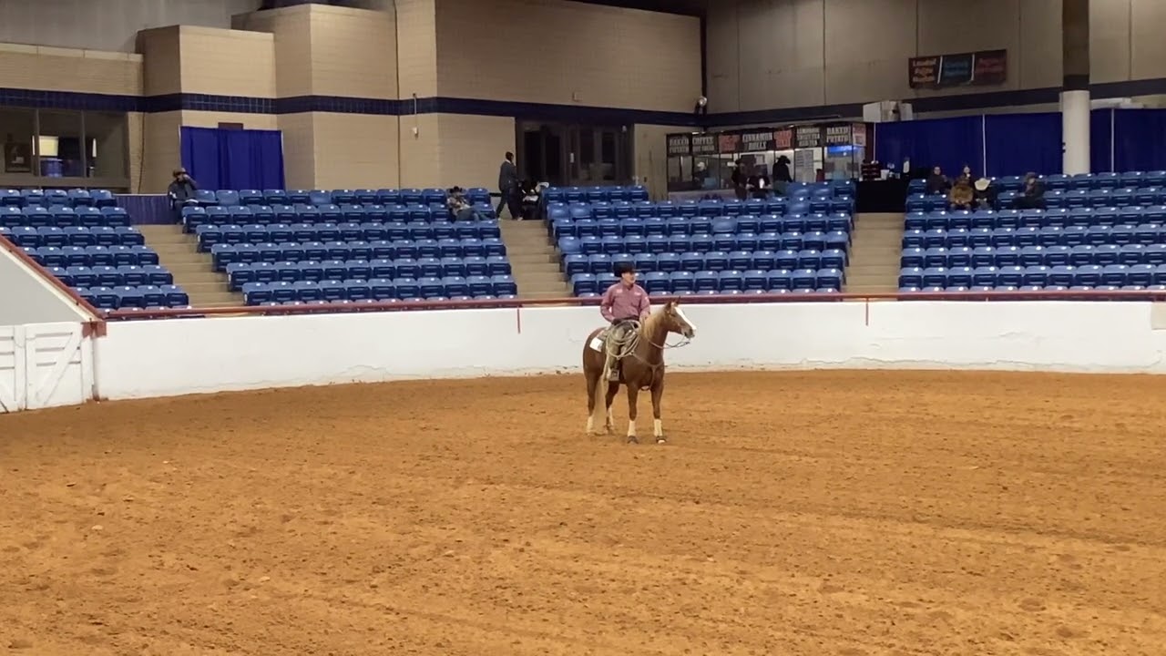 Stock Horse of Texas Class Descriptions Ranch Reining YouTube
