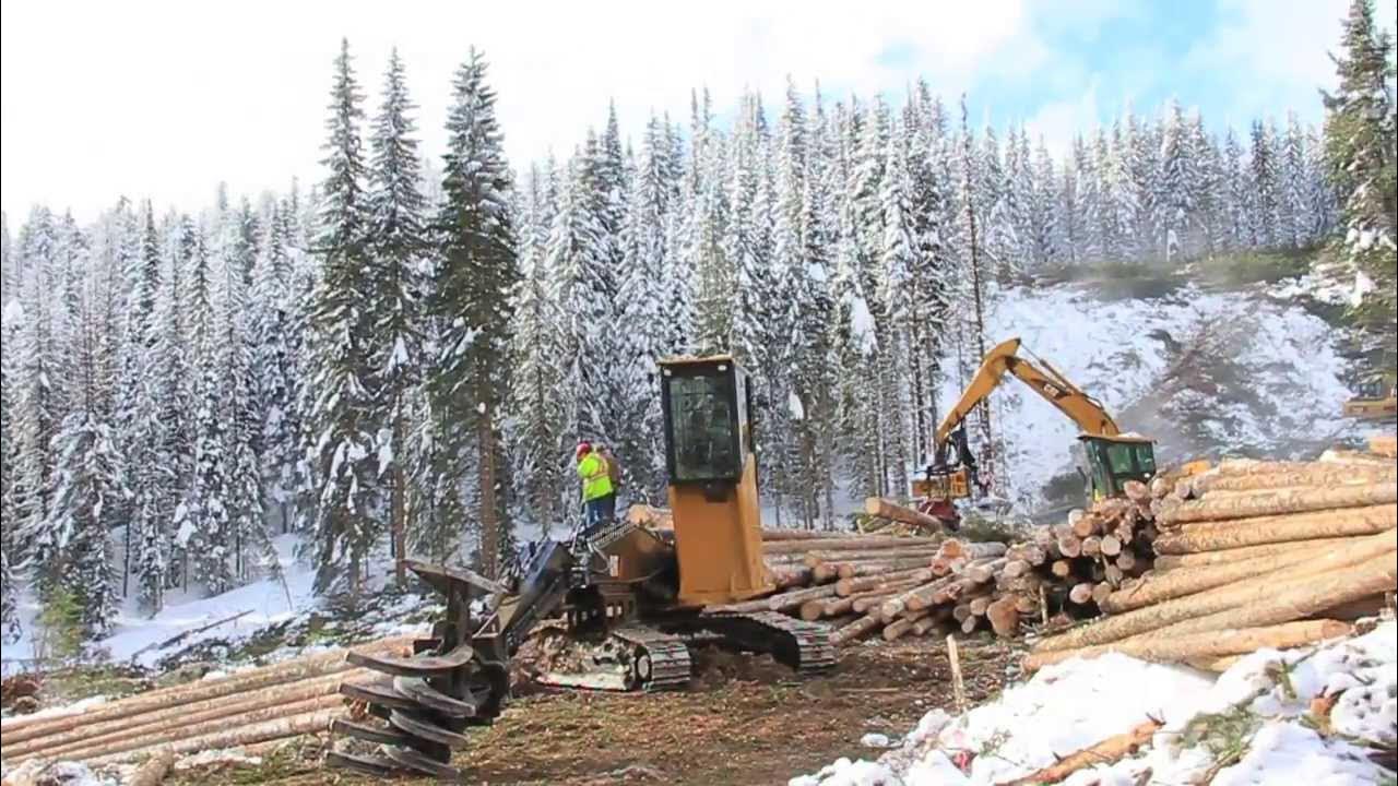 Log binning