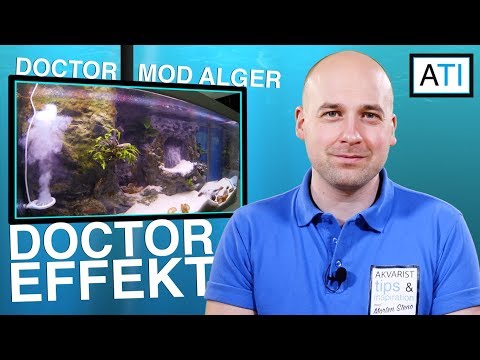 DOCTOR v3 - effekt mod alger i akvariet