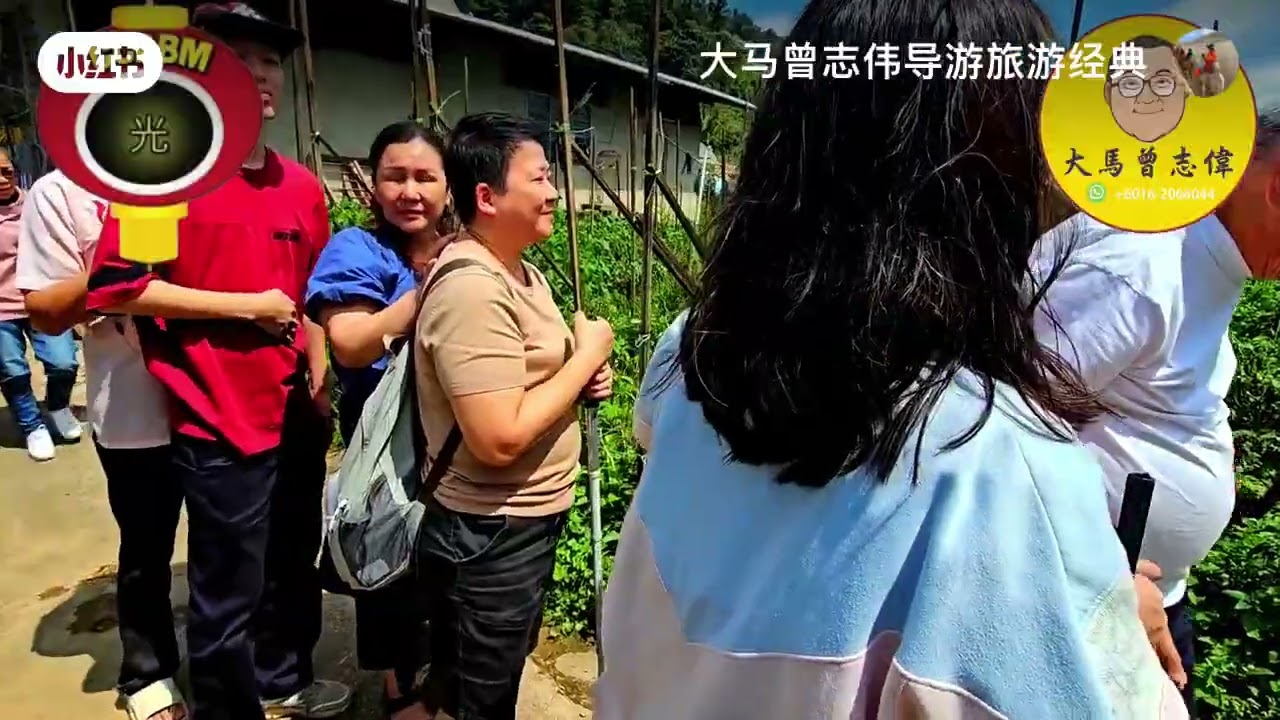 2025/12/3-4.🇲🇾马来西亚盲人团体导览金马仑高原