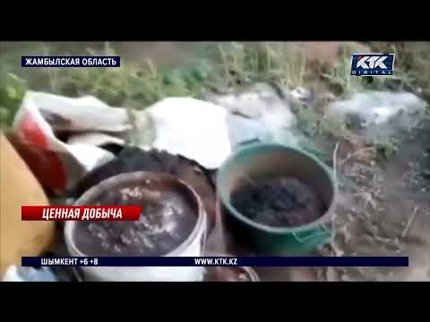 Жамбылец добывал золото у себя в сарае