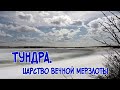 Природа Ямала. Тундра.  Царство вечной мерзлоты.