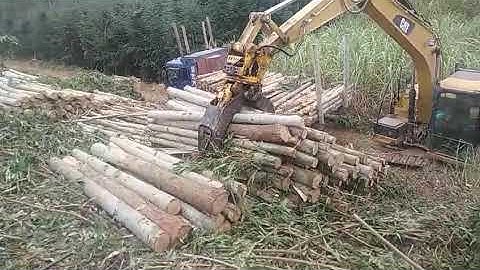 China log grapple, grapple for mini excavator, forestry grapple for sale